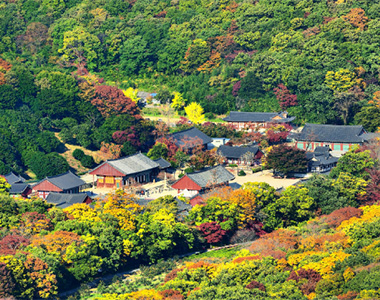 관광안내 선운산