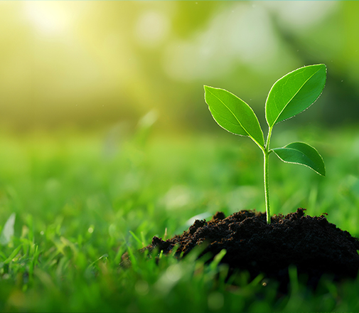 동계 수목
식재작업 안내