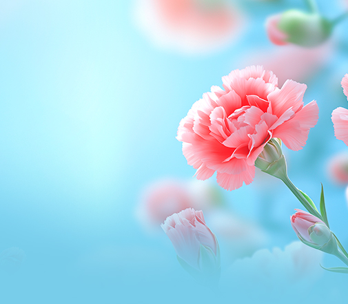 석정힐CC 2026년도 5월 이용 요금
